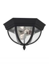 Generation Lighting 78136-12 - Wynfield Two Light Outdoor Ceiling Flush Mount