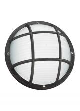 Generation Lighting 89807-12 - Bayside One Light Outdoor Wall / Ceiling Mount
