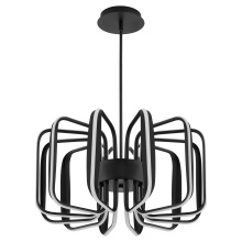 Oxygen 3-819-15 - ROTO 12LT 5CCT PENDANT - BK