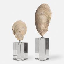 Uttermost 17523 - Uttermost Oyster Shell Sculptures Set/2